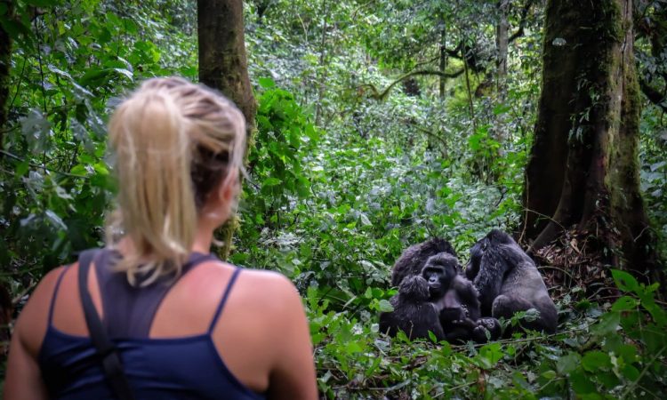 6 Days Uganda Primates Safari