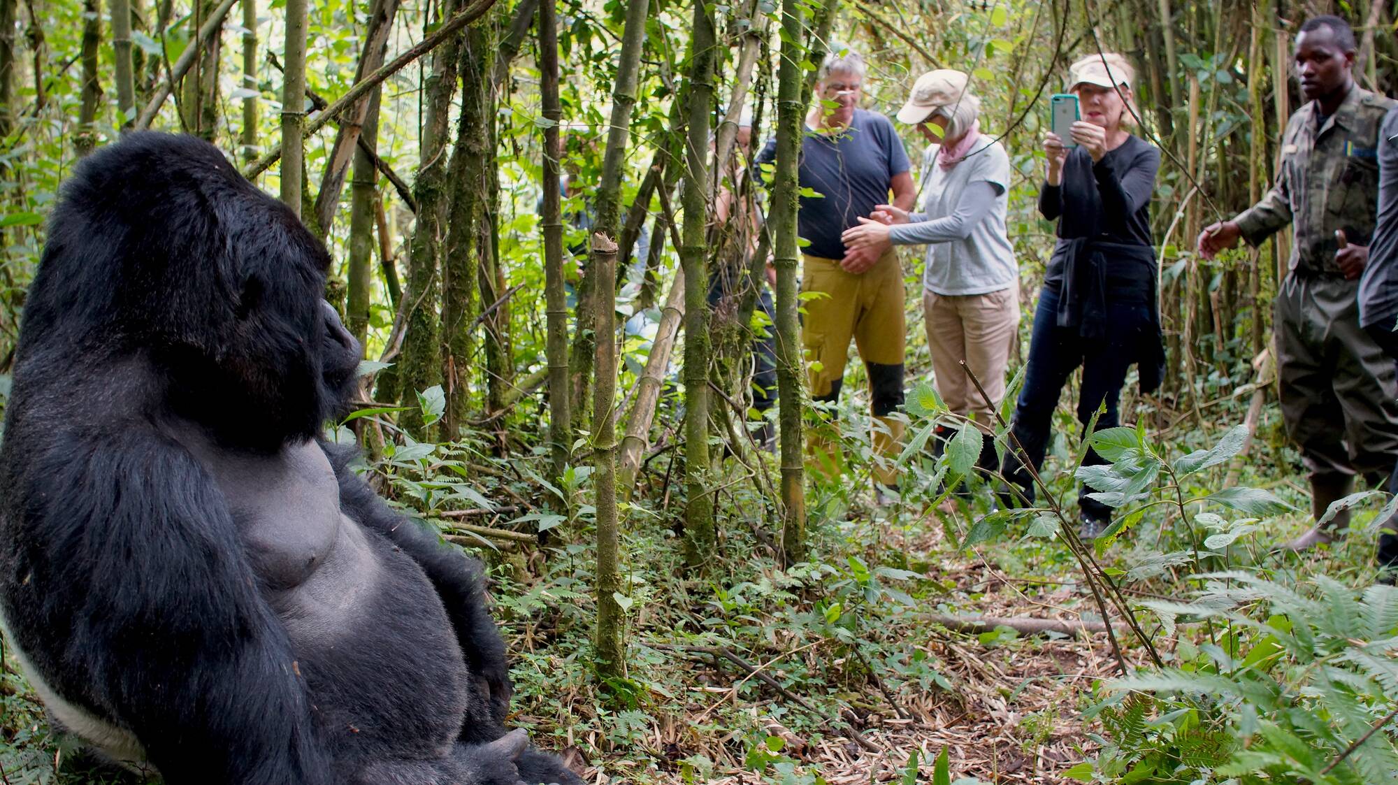 4 Days Rwanda Gorilla Trekking & Bisoke Hike