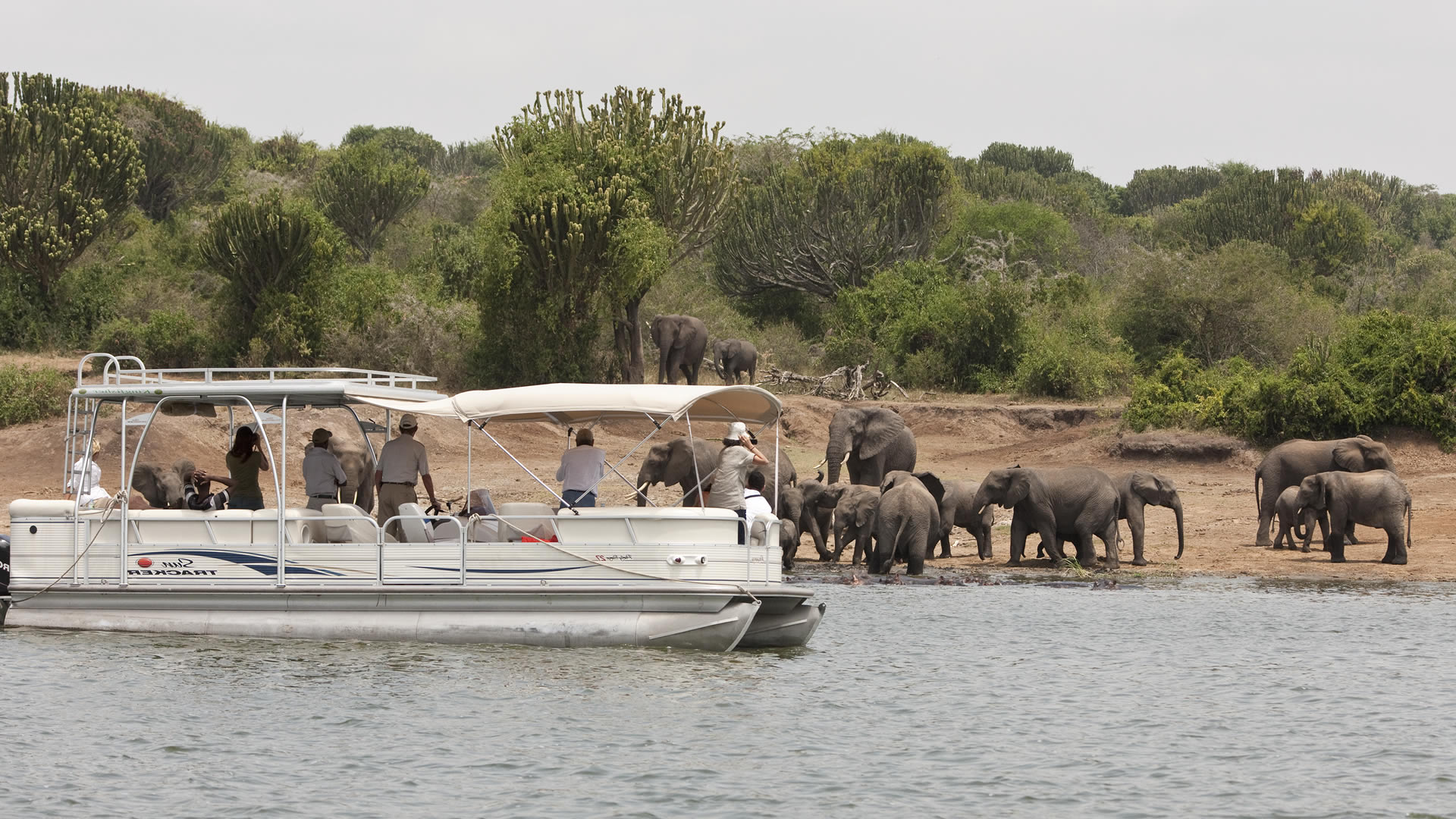 3 days Queen Elizabeth National park safari