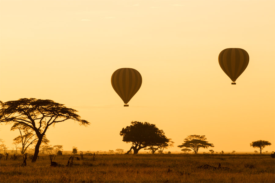 4 Days Lake Nakuru and Maasai Mara Safari