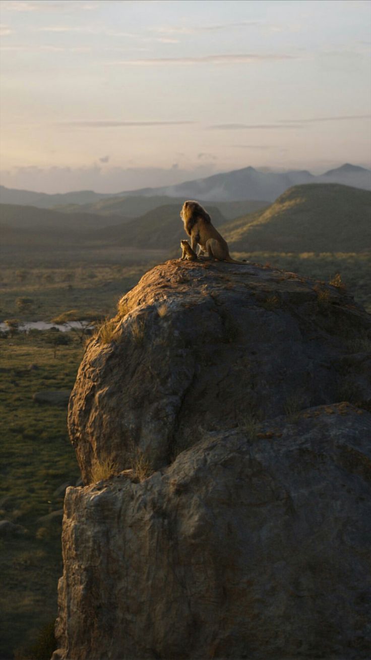 4 Days Lake Nakuru and Maasai Mara Safari