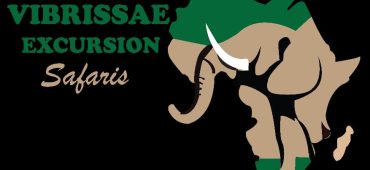 Vibrassae